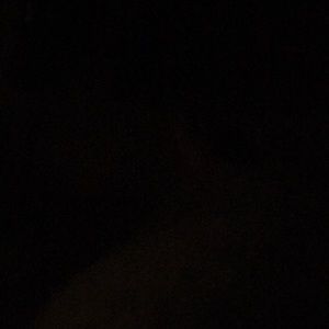 Meet your Posher, Nalini